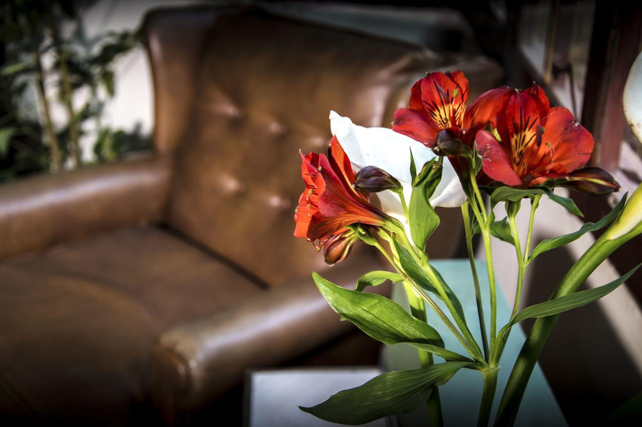 Bed and Breakfast York Vintage La Paz Esterno foto
